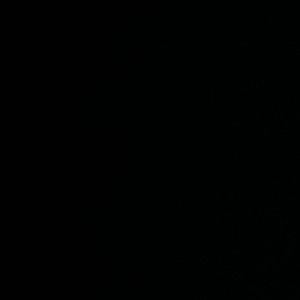 Meet your Posher, Nava